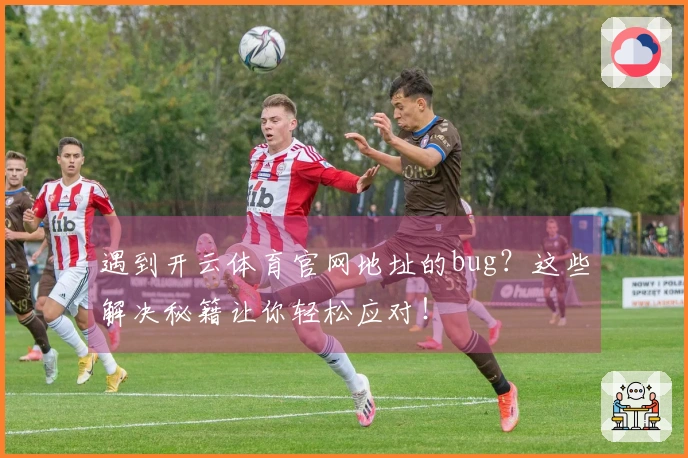 遇到开云体育官网地址的bug？这些解决秘籍让你轻松应对！